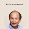 [Download Now] Master Chunyi Un - Spring Forest Qigong