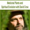 [Download Now] Medicinal Plants and Spiritual Evolution with David Crow