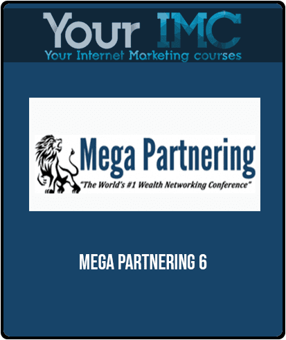 Mega Partnering 6