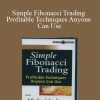 Michael Jardine – Simple Fibonacci Trading Profitable Techniques Anyone Can Use