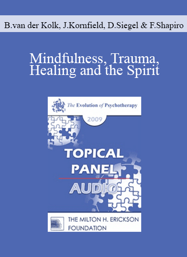 [Audio Download] EP09 Topical Panel 08 - Mindfulness