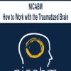 [Download Now] NICABM - How to Work with the Traumatized Brain