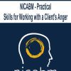 [Download Now] NICABM - Practical Skills for Working with a Client's Anger