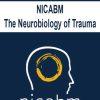 [Download Now] NICABM - The Neurobiology of Trauma