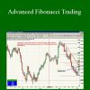 Neal Hughes – Advanced Fibonacci Trading