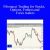 Neal Hughes - Fibonacci Trading for Stocks