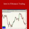 Neal Hughes – Intro to Fibonacci Trading