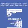 [Audio Download] EP09 Workshop 30 - Optimizing Gene Expression and Brain Plasticity in Dreams