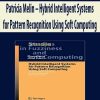 Patricia Melin – Hybrid Intelligent Systems for Pattern Recognition Using Soft Computing