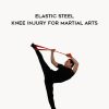 Paul Zaichik - Elastic Steel - Knee Injury for Martial Arts