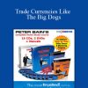 Peter Bain – Trade Currencies Like The Big Dogs