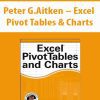 Peter G.Aitken – Excel Pivot Tables & Charts