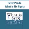 Peter Pande – What is Six Sigma