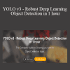 Ritesh Kanjee - YOLO v3 - Robust Deep Learning Object Detection in 1 hour