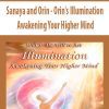 [Download Now] Sanaya and Orin - Orin's Illumination: Awakening Your Higher Mind