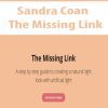 [Download Now] Sandra Coan - The Missing Link