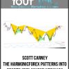 [Download Now] Scott Carney - The HarmonicForex Patterns into Profits (PIP) Course Webinars