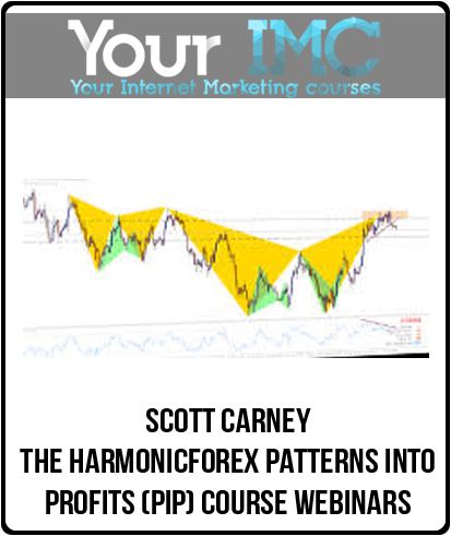 [Download Now] Scott Carney - The HarmonicForex Patterns into Profits (PIP) Course Webinars