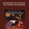 The Explosive Art Of Pencak Silat Harimau Minangkabau - Secrets Of Harimau