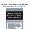 [Download Now] Sensory Techniques for Trauma