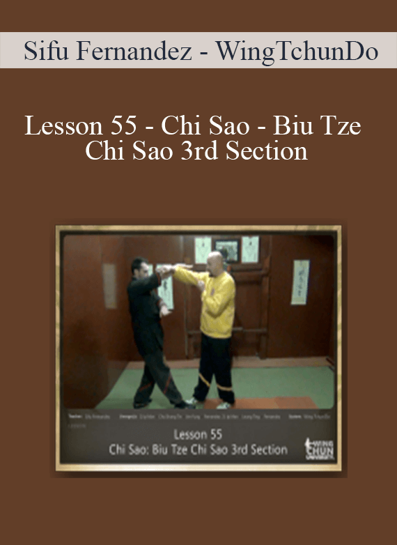 [Download Now] Sifu Fernandez - WingTchunDo - Lesson 55 - Chi Sao - Biu Tze Chi Sao 3rd Section