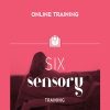 Six Sensory Online Training - Sonia Choquette