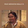 What Meditation Really Is - Sogyal Rinpoche