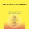 [Download Now] Sound Healing Center – Nerves