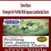 [Download Now] Steve Nison - Strategies for Profiting with Japanese Candlestick Charts