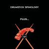 Drumstick Spinology - Steve Stockmal