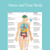 Stress and Your Body