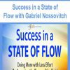 [Download Now] Success in a State of Flow with Gabriel Nossovitch