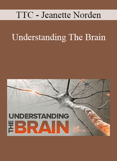 TTC - Jeanette Norden - Understanding The Brain