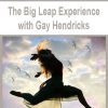 [Download Now] The Big Leap Experience with Gay Hendricks