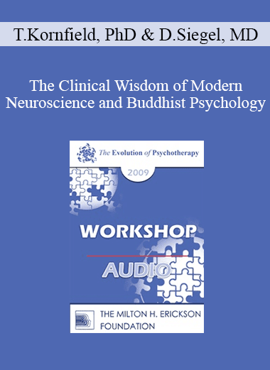 [Audio Download] EP09 Workshop 14 - The Clinical Wisdom of Modern Neuroscience and Buddhist Psychology - Jack Kornfield