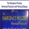 [Download Now] The Emergence Process Advanced Practicum with Patricia Ellsberg