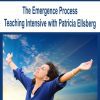 [Download Now] The Emergence Process Teaching Intensive with Patricia Ellsberg