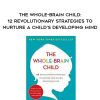 [Download Now] The Whole-Brain Child: 12 Revolutionary Strategies to Nurture a Child's Developing Mind - Daniel J. Siegel