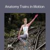 Tom Myers - Anatomy Trains in Motion (ATiM)