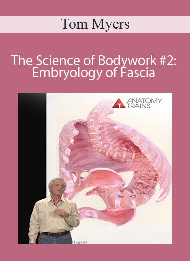 Tom Myers - The Science of Bodywork #2: Embryology of Fascia