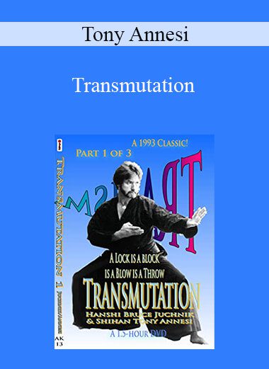 Tony Annesi - Transmutation