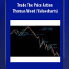 [Download Now] Trade The Price Action by Thomas Wood (Valuecharts)