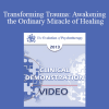 EP13 Clinical Demonstration 08 - Transforming Trauma: Awakening the Ordinary Miracle of Healing (Live) - Peter Levine