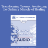 [Audio Download] EP13 Clinical Demonstration 08 - Transforming Trauma: Awakening the Ordinary Miracle of Healing (Live) - Peter Levine