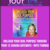 [Download Now] Unleash Your Soul Purpose Through Your 12 Chakra Gateways - Rhys Thomas