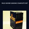 [Download Now] Wild Goose Qigong Complete Set