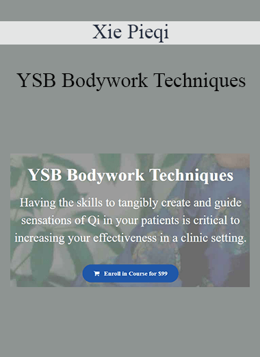 Xie Pieqi - YSB Bodywork Techniques