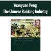 Yuanyuan Peng – The Chinese Banking Industry