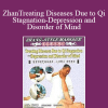 Zhang Style Massage - Treating Diseases Due to Qi Stagnation-Depression and Disorder of Mind (chinese with english subtitles)