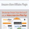 Amazon eStore Affiliates Plugin